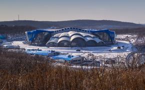 Что происходит в океанариуме