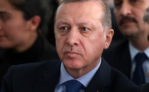 Президент Турции подписал закон о ратификации соглашения по "Турецкому потоку"
