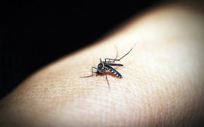 Туристы, приезжающие в Таиланд, рискуют заразиться малярией