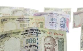 В Индии появились пластиковые деньги