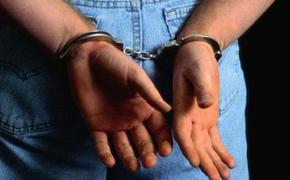 В Самарской области задержано пять человек за покушение на семью полицейского
