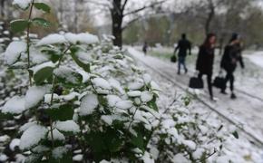 Город Сочи находится в экстренном положении из-за снегопада