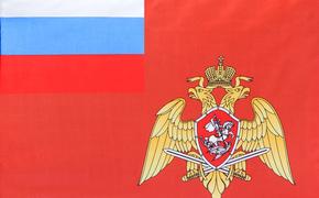 Путин утвердил флаг российской Нацгвардии