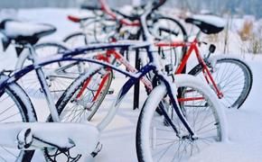 В Москве прошел зимний велопарад: никто не замерз