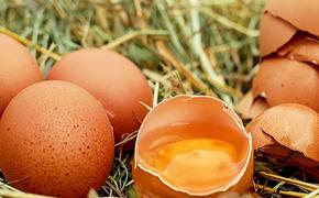 Здание торгпредставительства РФ в Литве закидали яйцами