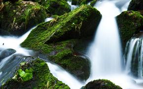 В Крыму замерз самый высокий в Европе водопад (ФОТО, ВИДЕО)