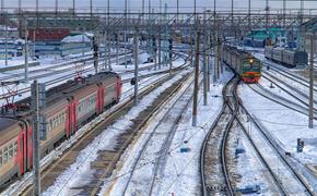 Трагедия в Москве: скорый поезд сбил пожилую пару