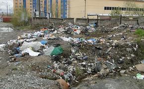Замминистра рассказал о планах ликвидации на Сахалине «монбланов» мусора