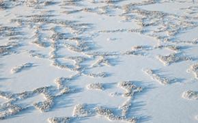 Путешественники проложат снегоходную трассу до Ледовитого океана