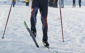 Хабаровские активисты в честь 23 февраля пройдут по морозу на лыжах 400 километров