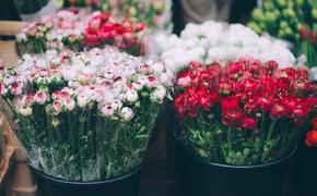 В Москве 8 марта был совершен налет на цветочный магазин