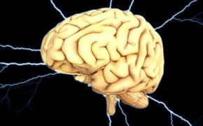Ученые описали уникальный случай жизни мозга после смерти человека