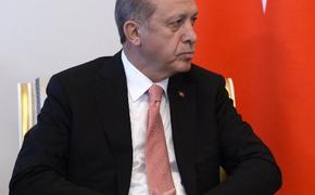 Эрдоган: Германия поддерживает терроризм