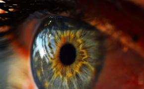 Три старушки из США ослепли после лечения зрения стволовыми клетками