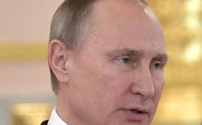 Путин обсудил ситуацию в Сирии с членами Совета безопасности