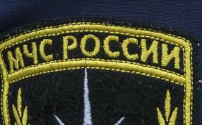 МЧС России доставило гуманитарную помощь в Донбасс