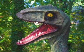 Ученые узнали, где у динозавров были эрогенные зоны