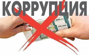 Екатеринбуржцам предложили бороться с коррупцией самостоятельно