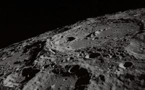 Окаменелый череп животного обнаружен на Луне (ВИДЕО)