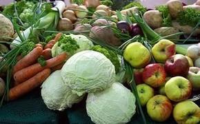 Россия возобновит импорт сельхозпродукции ряда предприятий Белоруссии