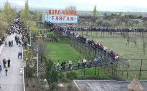 Неравнодушные крымчане вступились за «Тайган»