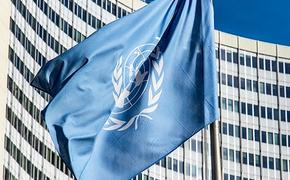В СПЧ ООН оценили влияние санкций на экономику России