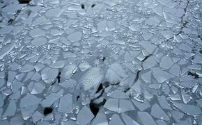 На Шпицбергене девять граждан России провалились под лед