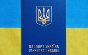 Депутат Рады, заявивший о снятии санкций с России, не смог въехать на Украину