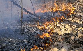 В Забайкалье продолжают бушевать лесные пожары