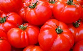 Ограничения на поставки турецких помидоров пока остаются в силе