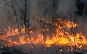 В Иркутской области снова растет количество пожаров