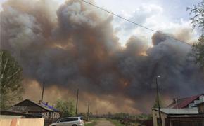 МЧС обвинило новосибирские власти в игнорировании мер по борьбе с пожарами