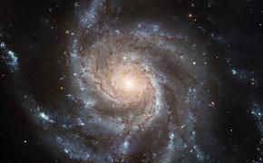 Астрофизики приблизились к разгадке тайны «звезды пришельцев»