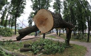 МЧС РФ: ураган в Москву вернется этой ночью