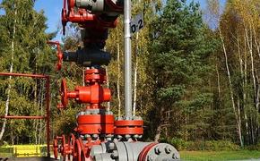 В Свердловской области ищут нефть