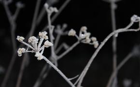 В Петербурге женщина замерзла насмерть июньской ночью