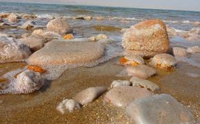 На дне Мертвого моря обнаружили следы древней катастрофы