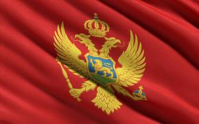 В Госдепе обвинили Россию в планировании переворота в Черногории