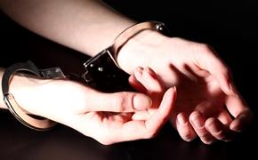 В Петербурге за экстремизм арестована саентолог Анастасия Терентьева