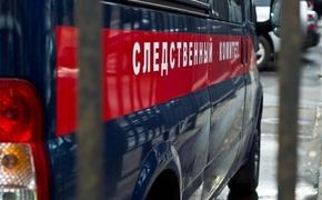 СКР: машинист электрички пытался предупредить  внучку Хрущева