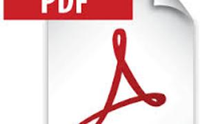 Из бумаги в PDF