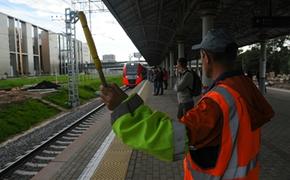 Движение поездов на МЦК приостановлено: дерево упало на провода