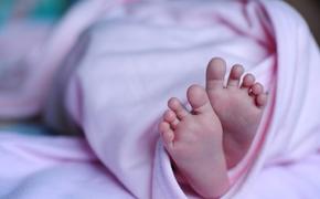 На воронежской уличной свалке нашли тело новорожденного