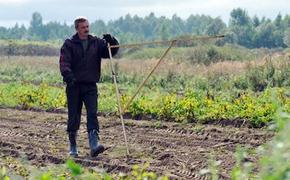 &laquo;Дальневосточный гектар&raquo; можно выбрать в удалённом режиме
