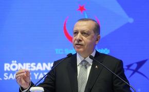 Эрдоган потребовал от ФРГ не вмешиваться во внутренние дела Турции