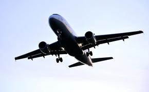 Отмену бесплатного провоза багажа для невозвратных авиабилетов одобрил Совфед