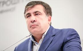 В Литве предложили выдать паспорт оставшемуся без гражданства Саакашвили