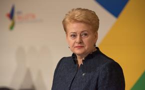 Литовский президент предупредила Пенса о новой «российской угрозе»