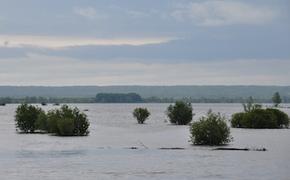 Учёные хотят распрямить  великую русскую реку