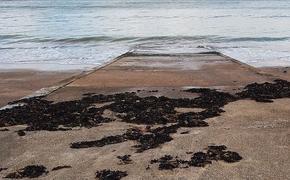 Пляжи Алушты затопило фекалиями
